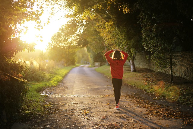 Kraft, ausdauer, selbstvertrauen: Einsteiger-workouts für schnelle fortschritte